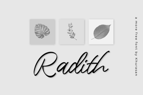 Radith: A Modern Script Font